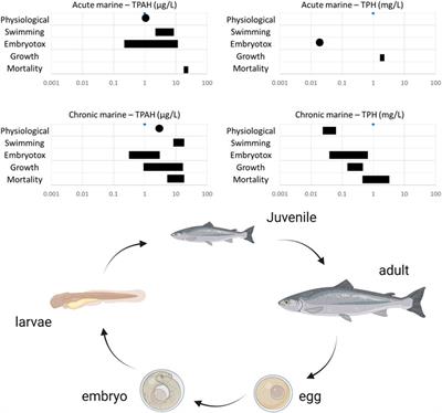 Ecotoxicity Studies for On-Site Disposal of Decant Water During Oil Spills: A Review